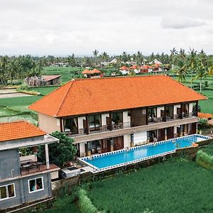 Twin Room Pool View